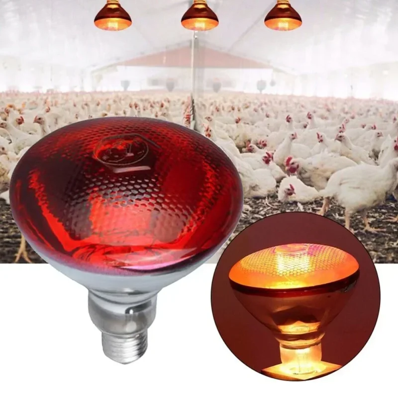 220V Infrared Heating Bulb Lamp 100/150/200/275W for Amphibians Reptiles Poultry Pets Livestock E27 Chicken Duck Farm Supplies - Image 5