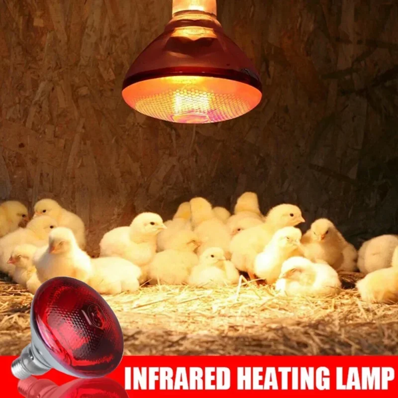 220V Infrared Heating Bulb Lamp 100/150/200/275W for Amphibians Reptiles Poultry Pets Livestock E27 Chicken Duck Farm Supplies - Image 2